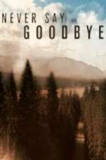 Watch Never Say Goodbye Vumoo