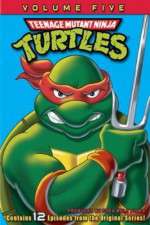 Watch Teenage Mutant Ninja Turtles Vumoo
