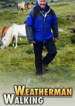 Watch Weatherman Walking Vumoo