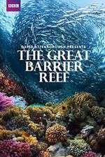 Watch Great Barrier Reef with David Attenborough Vumoo