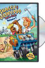 Watch Shaggy & Scooby-Doo Get a Clue Vumoo