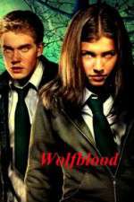 Watch Wolfblood Vumoo