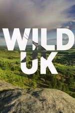 Watch Wild UK Vumoo