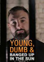 Watch Young Dumb & Banged Up in the Sun Vumoo