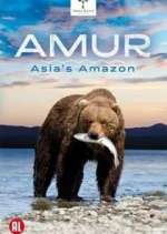 Watch Amur Asia's Amazon Vumoo
