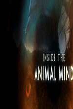 Watch Inside the Animal Mind Vumoo