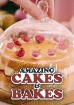 Watch Amazing Cakes & Bakes Vumoo