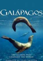Watch Galapagos Vumoo