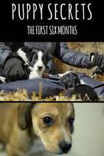 Watch Puppy Secrets: The First Six Months Vumoo