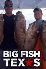 Watch Big Fish Texas Vumoo