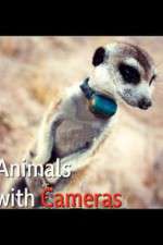 Watch Animals with Cameras Vumoo