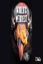 Watch National Geographic Worlds weirdest Vumoo