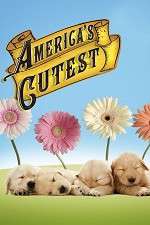 Watch America's Cutest Vumoo