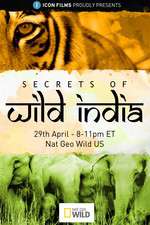 Watch Secrets of Wild India Vumoo