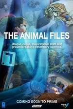 Watch The Animal Files Vumoo
