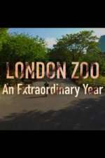 Watch London Zoo: An Extraordinary Year Vumoo