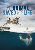 Watch An Animal Saved My Life Vumoo