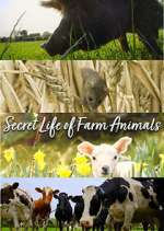 Watch Secret Life of Farm Animals Vumoo