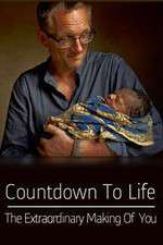 Watch Countdown to Life The Extraordinary Making of You Vumoo