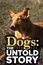 Watch Dogs: The Untold Story Vumoo