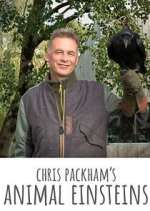 Watch Chris Packham's Animal Einsteins Vumoo