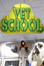 Watch Vet School Vumoo