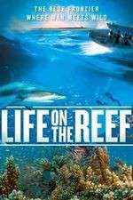 Watch Life on the Reef Vumoo