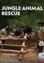 Watch Jungle Animal Rescue Vumoo