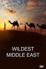 Watch Wildest Middle East Vumoo