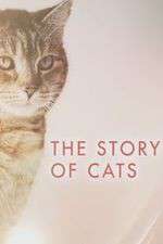 Watch The Story of Cats Vumoo