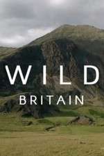 Watch Wild Britain Vumoo