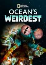 Watch Ocean's Weirdest Vumoo