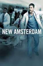 Watch New Amsterdam Vumoo