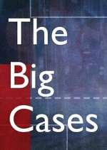 Watch The Big Cases Vumoo
