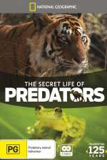Watch Secret Life of Predators Vumoo