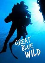 Watch Great Blue Wild Vumoo