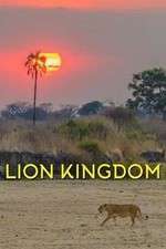 Watch Lion Kingdom Vumoo