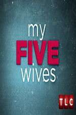 Watch My Five Wives Vumoo