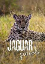 Watch Jaguar Journals Vumoo