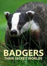 Watch Badgers: Their Secret Worlds Vumoo