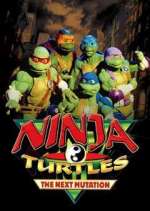 Watch Ninja Turtles: The Next Mutation Vumoo