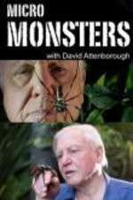 Watch Micro Monsters 3D with David Attenborough Vumoo
