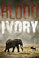 Watch Blood Ivory Vumoo