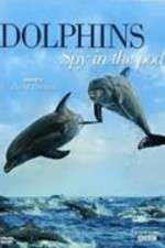 Watch Dolphins: Spy in the Pod Vumoo