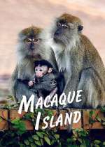 Watch Macaque Island Vumoo