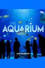 Watch The Aquarium Vumoo