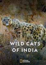 Watch Wild Cats of India Vumoo