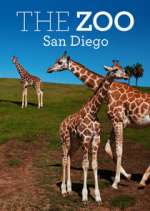 Watch The Zoo: San Diego Vumoo