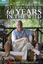 Watch Attenborough 60 Years in the Wild Vumoo