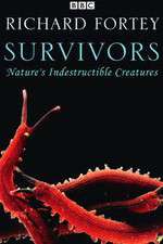 Watch Survivors: Nature's Indestructible Creatures Vumoo